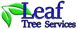 Tree Care Services Austin, Texas | Leaf Tree Services